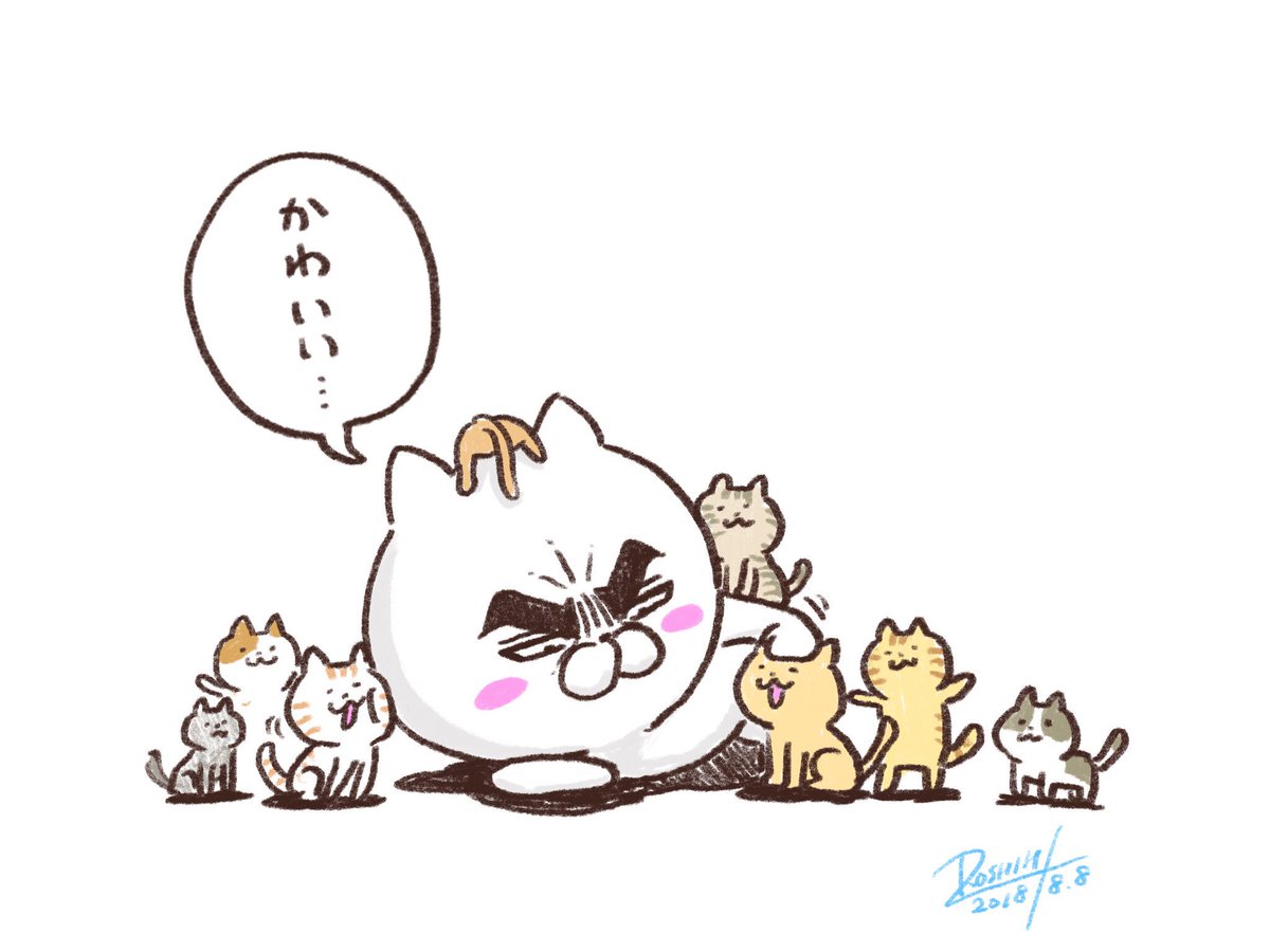 Twoucan ロシヒ 目ヂカラ にゃんこ Megane164megane