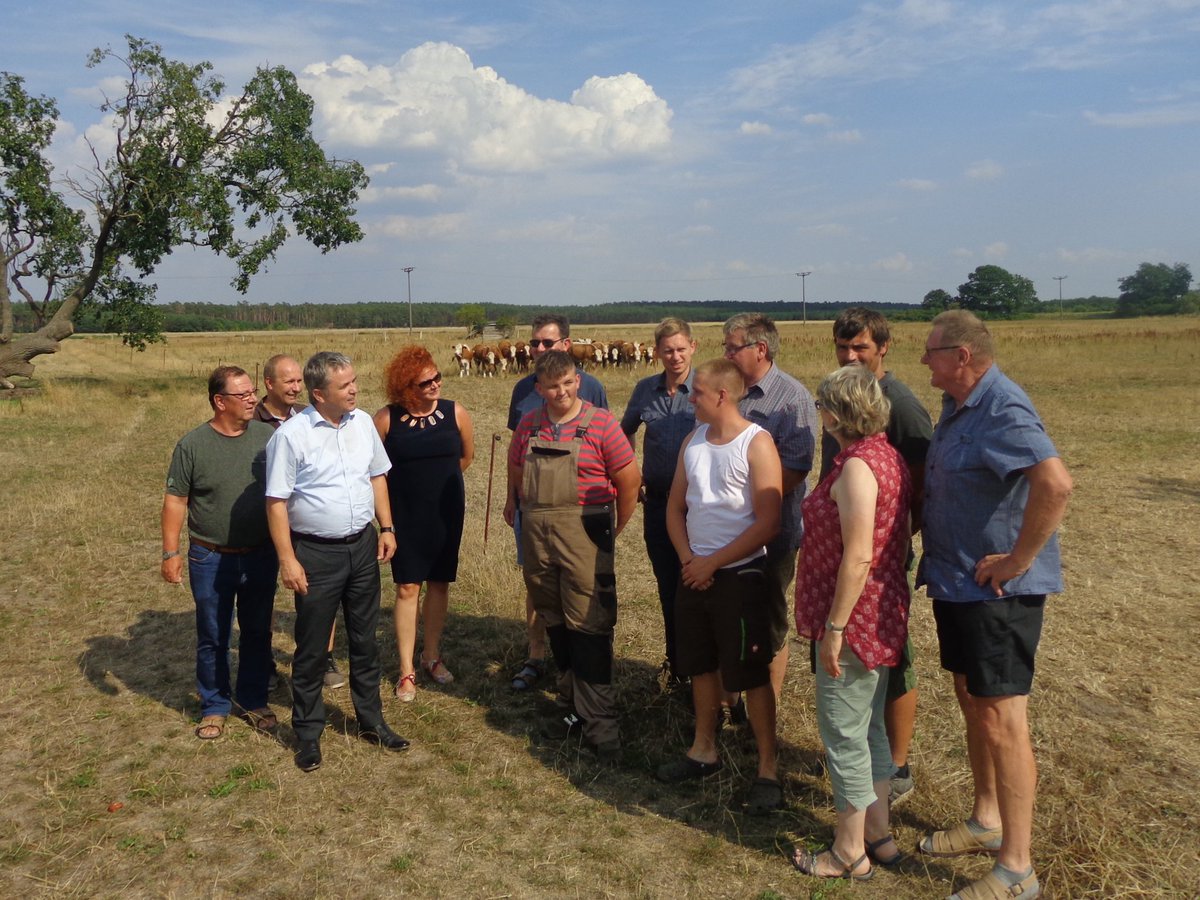 BV_Salzwedel's tweet image. Gespräch des Vorstandes mit dem Landrat zu den Auswirkungen von fehlendem Niederschlag und heißen Temperaturen für die #Landwirte #BauernverbandSalzwedel #Altmark