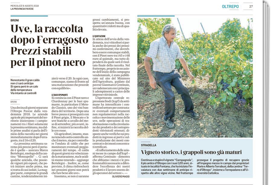 Oltrepò Pavese (@vinoltrepo) on Twitter photo È partito il conto alla rovescia in vista della vendemmia 2018 in Oltrepò Pavese. Oggi il servizio di <a href="/olivieromaggi/">Oliviero Maggi</a> sulla <a href="/provinciapavese/">La Provincia Pavese</a> #weloveoltrepo È partito il conto alla rovescia in vista della vendemmia 2018 in Oltrepò Pavese. Oggi il servizio di <a href="/olivieromaggi/">Oliviero Maggi</a> sulla <a href="/provinciapavese/">La Provincia Pavese</a> #weloveoltrepo