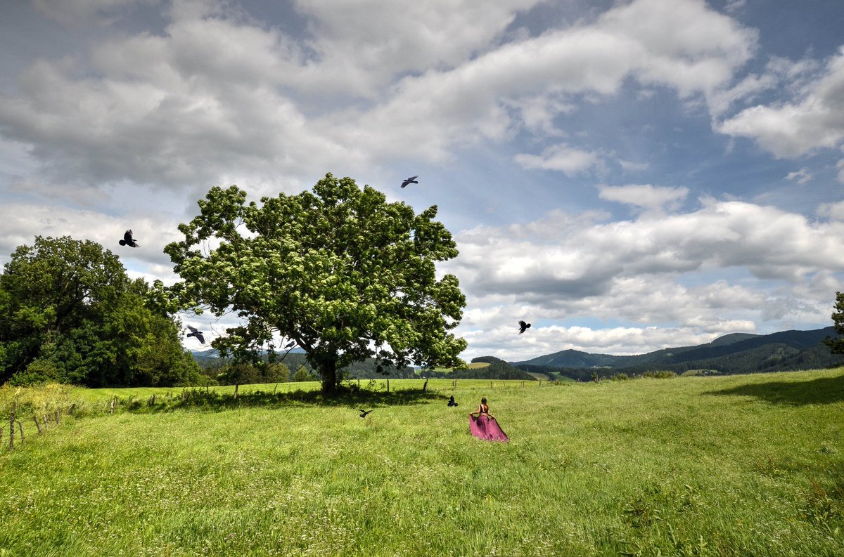 Babs_Nortri's tweet photo. #justme #fairytale #hdr #nature #landscape #travel #styria https://t.co/6KZHtqAfvO