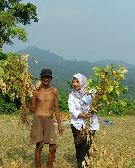 dpkppandeglang's tweet photo. Panen Kedelai hasil Penangkaran Kelompok Tani "Berkah" di Ds. Sukanagara, Kec. Carita
@osopiyah
#upsus #pajale #padi #jagung #kedelai https://t.co/bwFI2Icv6x