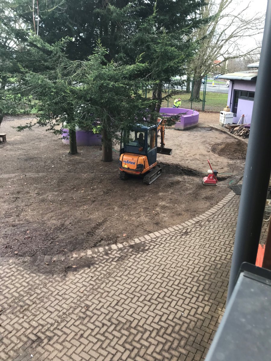 Armadillo Yate (ArmadilloYate11) Twitter