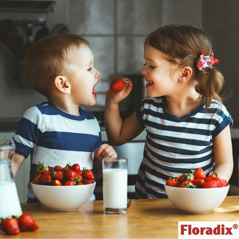 FloradixUK's tweet photo. Give your kids a helping hand with Kindervital Fruity Multivitamin Formula https://t.co/b4cd7uRZkn - #familylife #buildtheirfuture https://t.co/sTFTHbnrid
