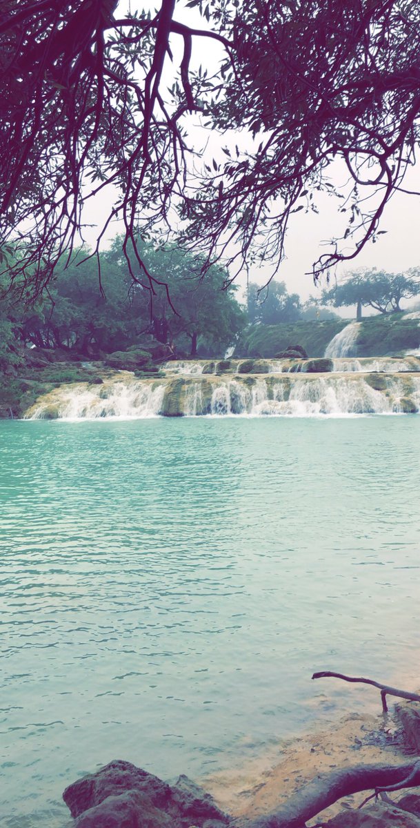 #شارك_بصوره_صورتها