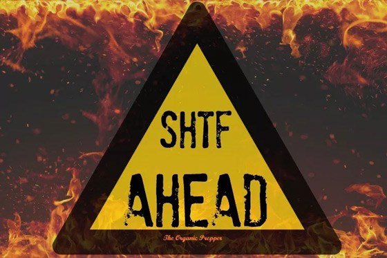 Central Mirror tweet media