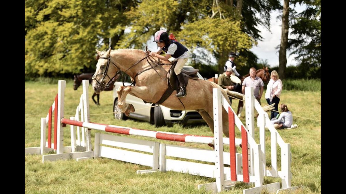 TGHorseShow's tweet photo. SATURDAY 18th AUGUST, 10 days time the 72nd Tarrant Gunville Horse Show &amp; Gymkhana is taking place. #hunterclasses #showjumping #showingclasses #handyhunter #crosscountrycourse Are you coming? Details here: https://t.co/uXx27DZmyI #horsehour #ponyhour #woid #dorsethour 🐴 https://t.co/2cmJhduV61
