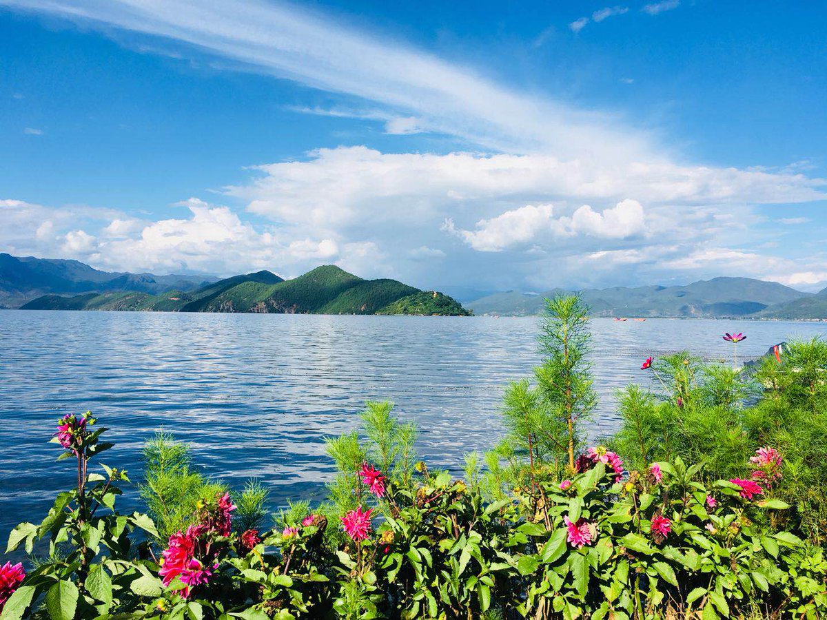 eagledriverpcb's tweet image. 高频PCB设计实用技巧摘要

PCB设计得更小，更快，更便宜。由于互连点是电路链中最薄弱的环节，在射频设计中， 
eagledriver166823352.wordpress.com/2018/08/08/sum…