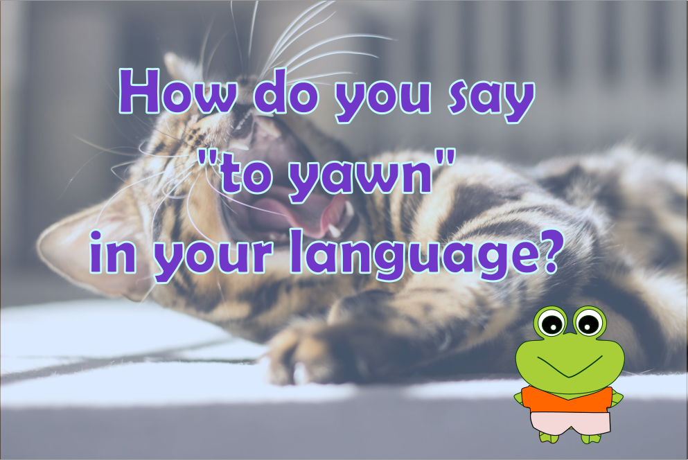 froshiifrog's tweet photo. How to you say "to yawn" in your language? I would love to learn. Teach me please!! #froshii #love2learn #worldoflanguages https://t.co/uokkNGA762