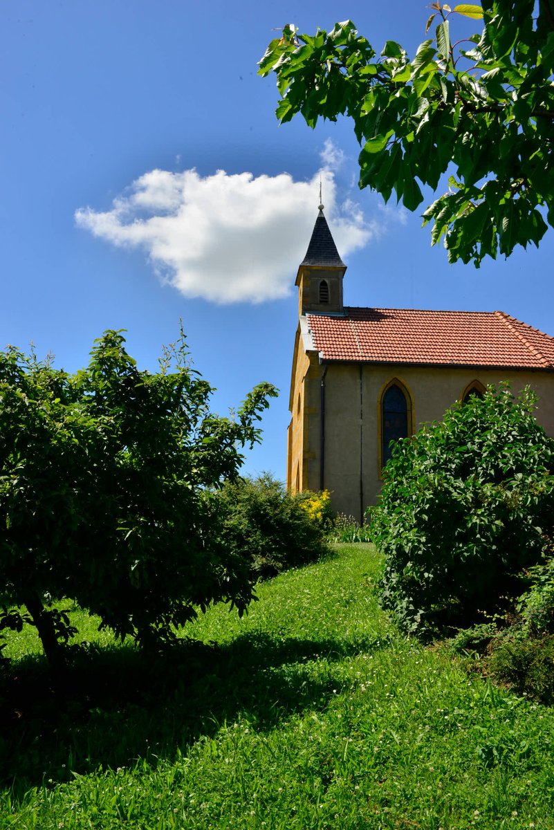 OTpaysarbresle's tweet photo. #JEP2018 - Nous avons pu interviewer Marc Chazaud, membre de l'association Les Amis du Patrimoine et de l'Environnement de #Bessenay, qui organise l'animation musicale à la chapelle de #Ripan qui aura lieu le samedi 15 septembre de 14h à 18h. https://t.co/7pWG85f3La https://t.co/M0DGKDbeBS