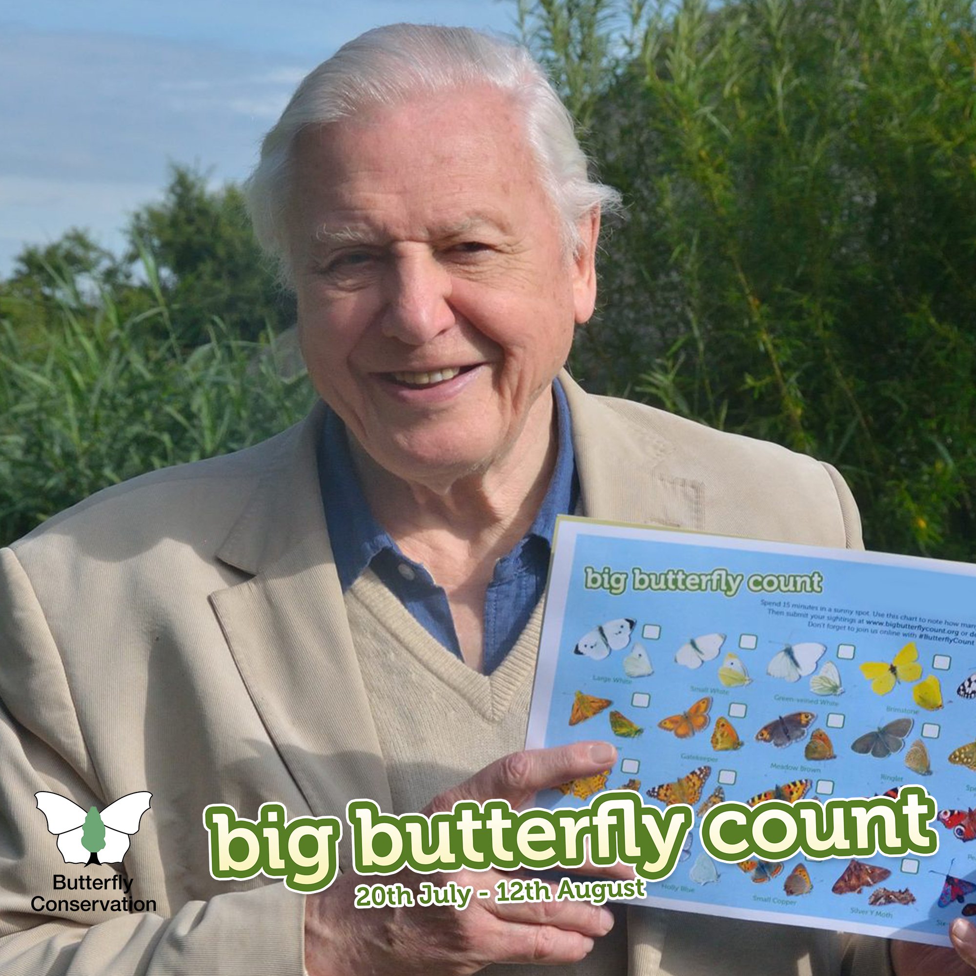 David Attenborough Butterfly Chart