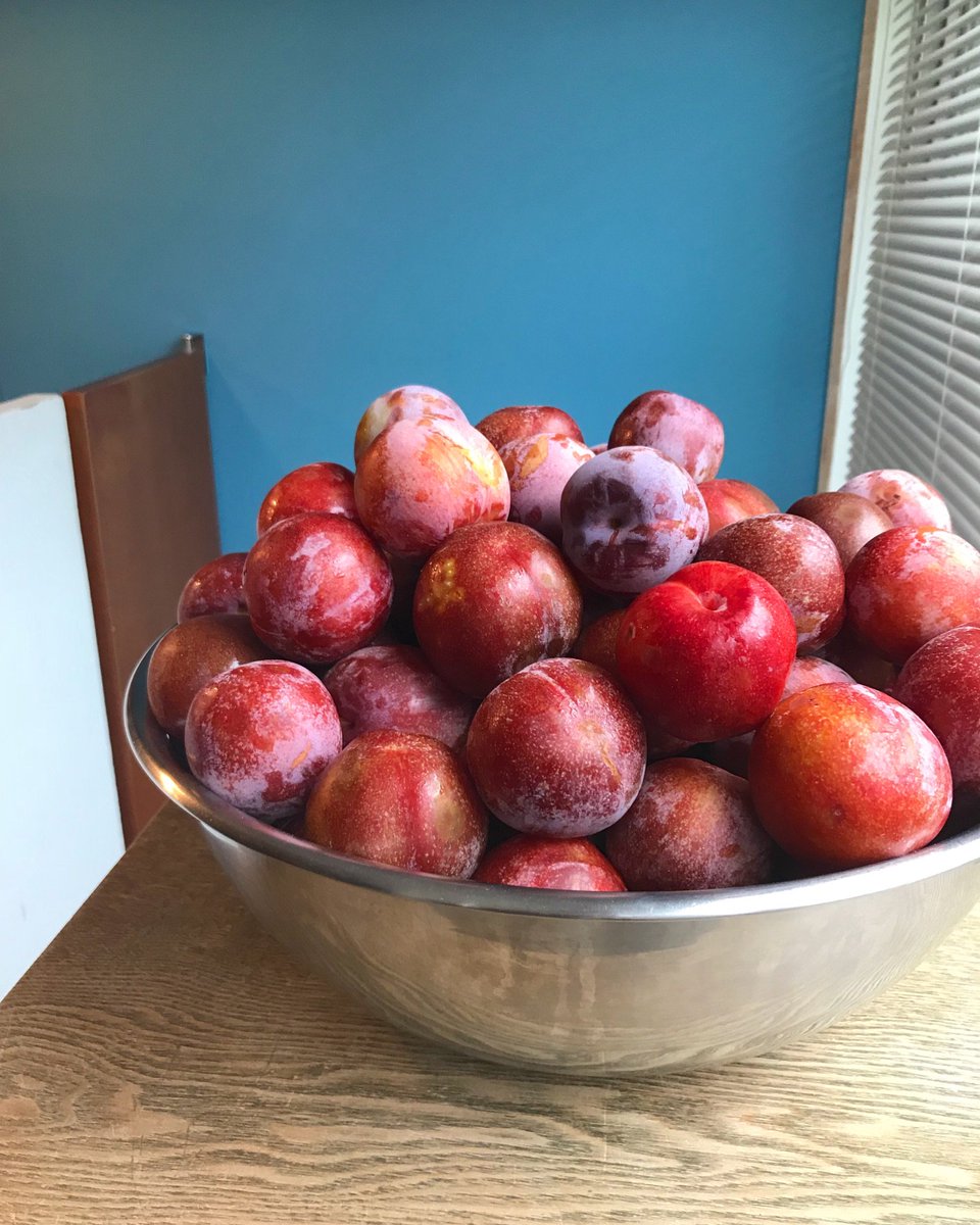 Uneclef على تويتر 今日もたくさんプラムのシロップを作りました 長野県中野市から届いたソルダムという品種を使用しています シロップ用に追熟させると緑色の皮が赤くなるんですよ プラムソーダもこの季節だけです ぜひ 休み明けは9日 木 13日 月 まで