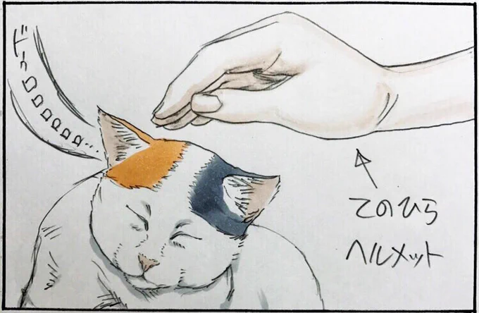 『てのひらヘルメット』 