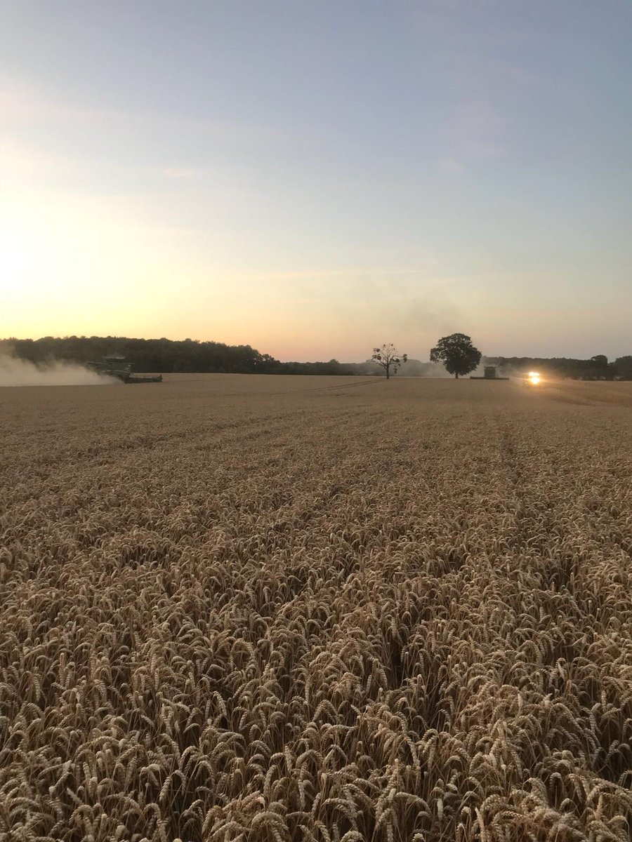 Wheat finished for another year <a href="/PelhamFarmingCo/">Pelham Farming Co</a>