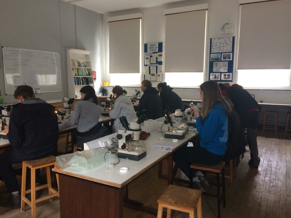 Retweeted FSC Millport (@FSC_Millport):

Fantastic morning learning all about plankton with @FieldStudiesC Young Darwin’s! #plankton #ecology #YoungDarwinScholarship