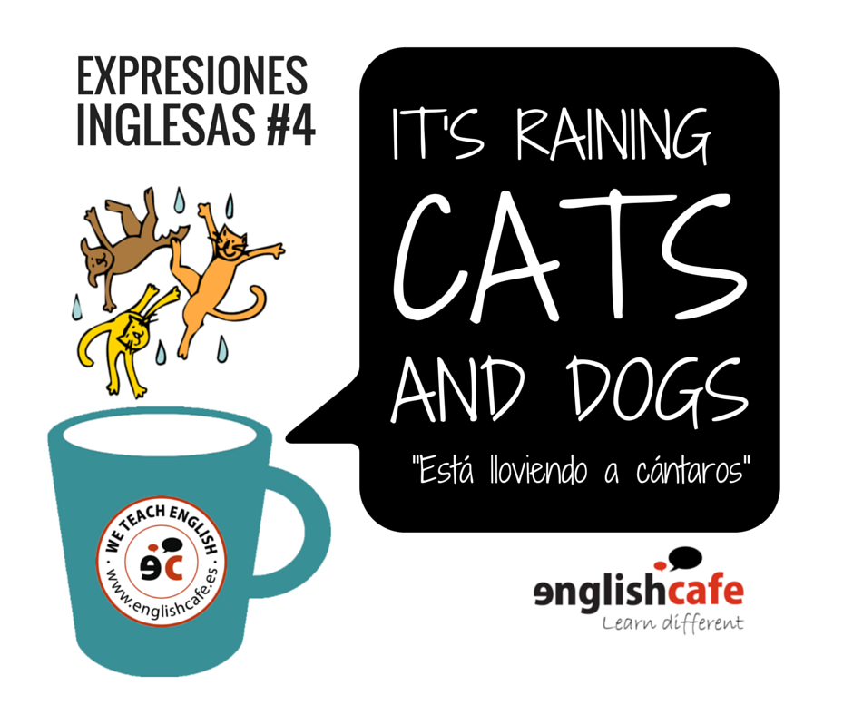 EnglishcafeVLL's tweet photo. En el #DiaInternacionalDelGato que mejor que recordar esta famosa frase en #inglés! https://t.co/6arvZCT1Rd