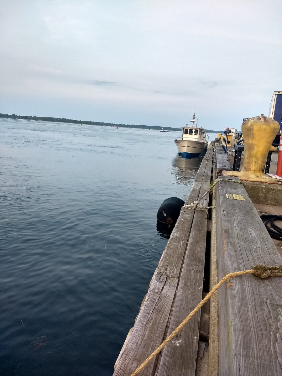 JavierGRocha's tweet photo. Deploying early in the morning to capture drifters released into the ocean. #NSFAlpha https://t.co/zmIy8dyuHG