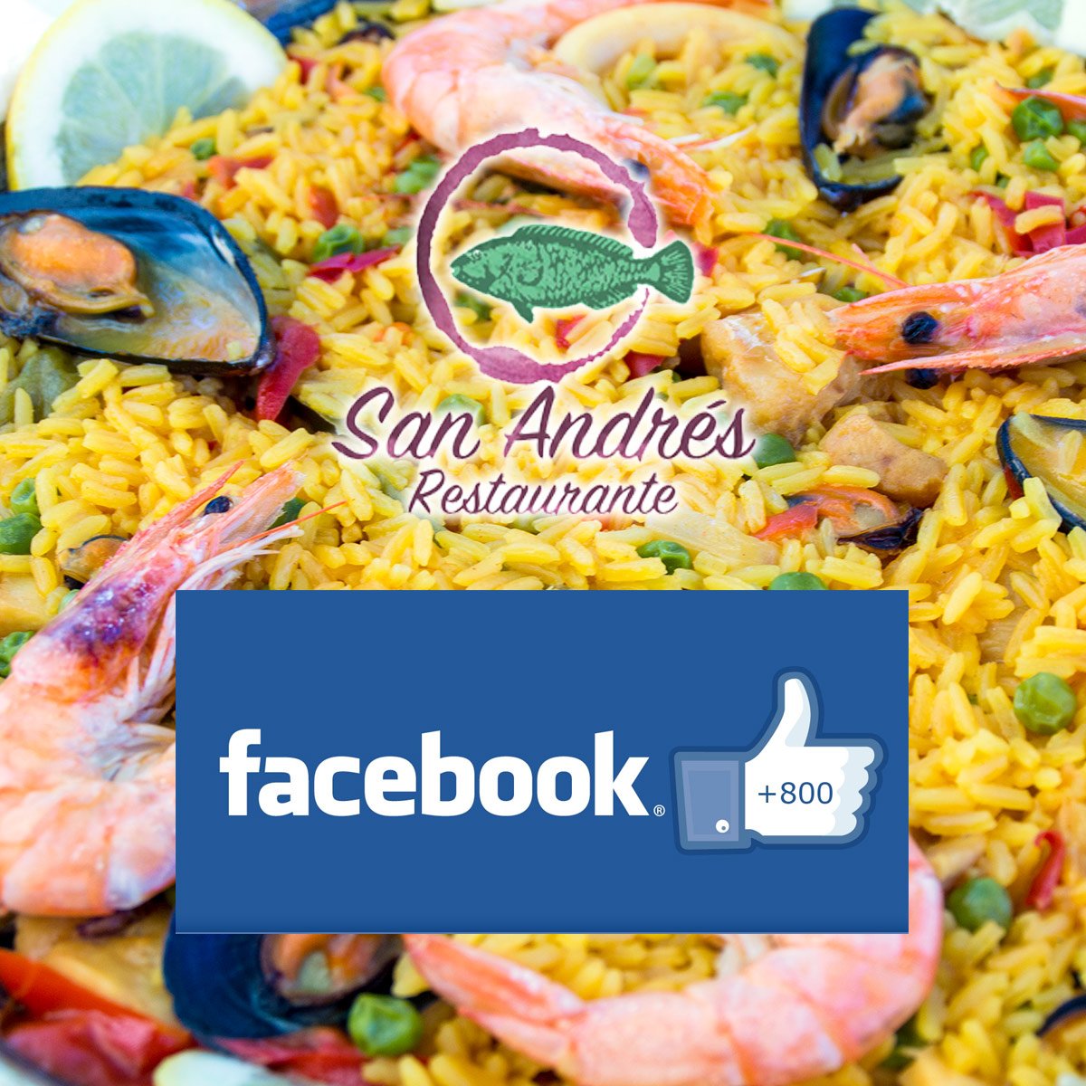 Rest_SanAndres's tweet photo. 🎉Queremos darles las gracias porque ya somos 800 seguidores en Facebook 
Todo esto no sería posible sin vuestro apoyo y cariño 😊 
¡Muchas gracias a todos!

SÍGUENOS: https://t.co/x5eB5ihsVF

#restaurante #sanandres #sanandresysauces #lapalma https://t.co/JAVAWp11LH