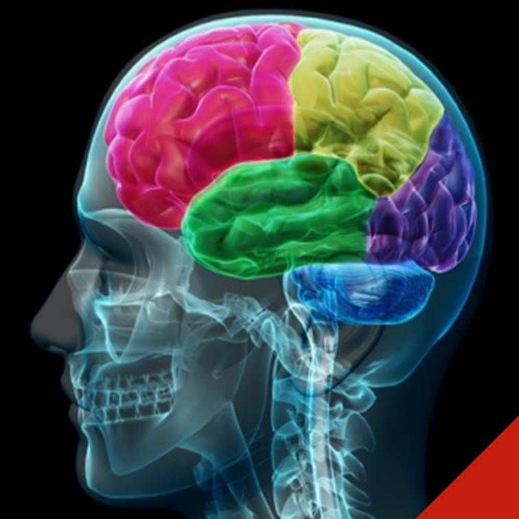 FMDRIN's tweet photo. #FMblog |The 10 Types of Intelligence in a Facility Manager #FacilityManagement #Intelligence #FM https://t.co/yguJy34c5J https://t.co/0pbW0fF09y