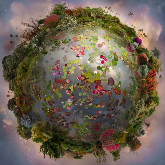 ramblingsloa's tweet photo. Life is the flower for which love is the honey.

Victor Hugo
Pic Catherine Nelson https://t.co/Zvu2DaTncF