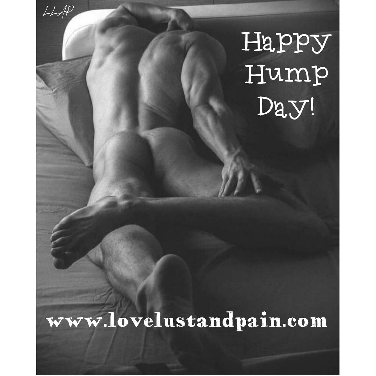 Hump day erotic