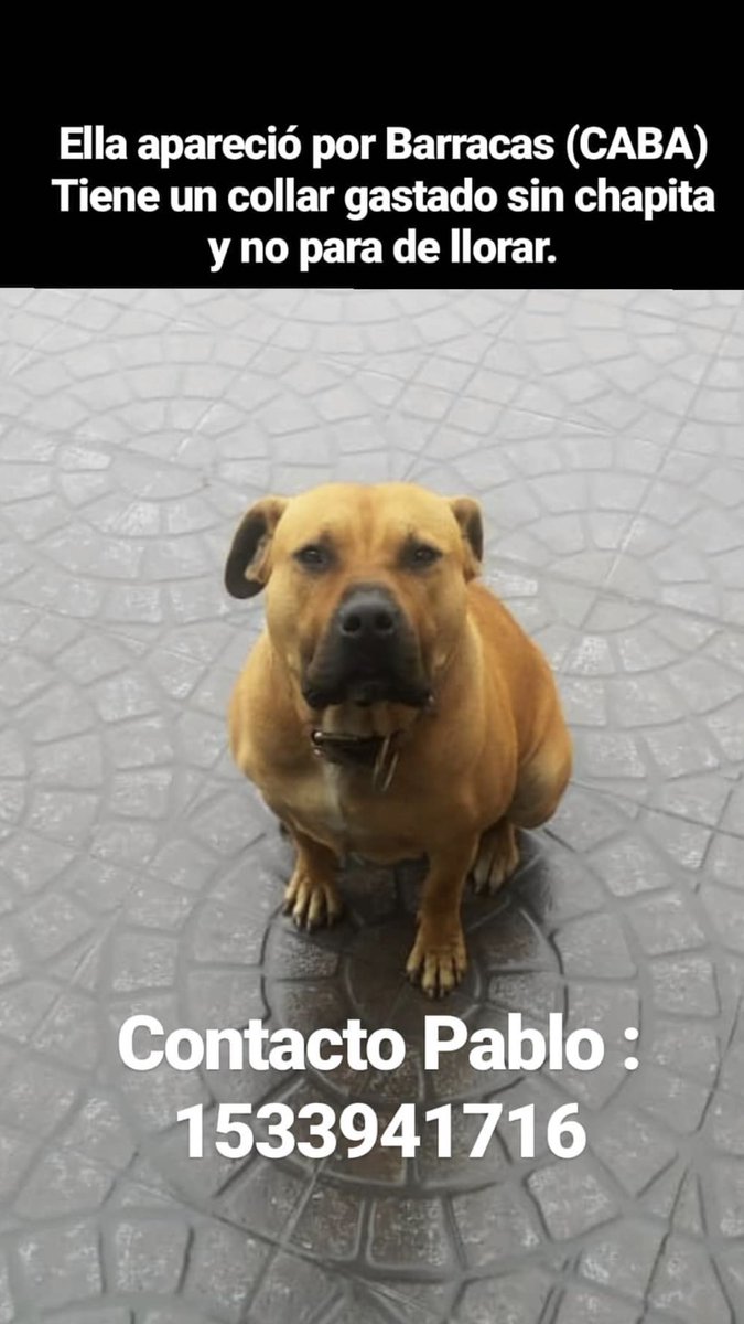 URGENTE COMPARTIR 🙏🏻 <a href="/candetinelli/">Candela</a> @LizSolariOfcl <a href="/mica_tinelli/">micaela tinelli</a> <a href="/TucuLopez/">Tucu López</a> <a href="/lizytagliani/">Lizy Tagliani</a>