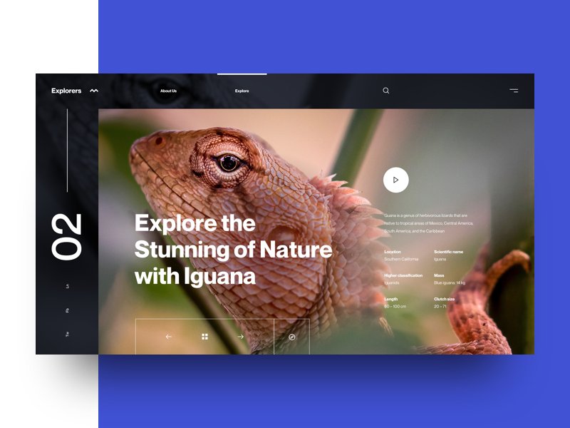 FreeUIDesign's tweet image. Explores :: Iguana
by Tran Mau Tri Tam ✪ in Web Design Concept  buff.ly/2vuEgCR