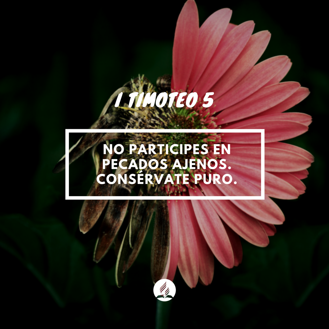 iasdsudamerica's tweet photo. #1Tim5 Como llegaron a ser partícipes de la justicia de Cristo y su carácter está en armonía con la ley de Dios, sus pecados serán borrados y ellos mismos serán considerados dignos de la vida eterna.(EGW-CES) #timoteo #rpsp #pureza #limpieza #santidad https://t.co/B6boip87bQ