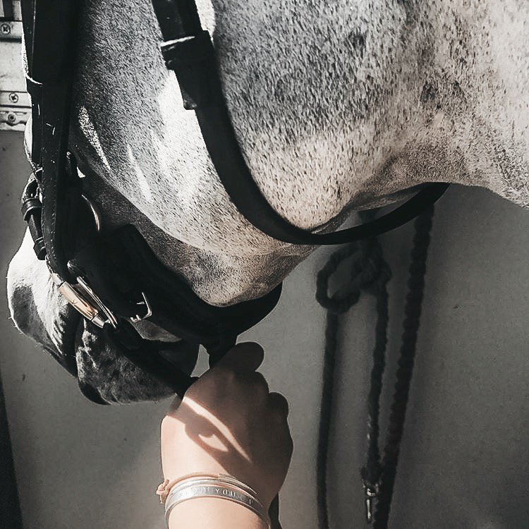 hellovictorious's tweet photo. Hold on to what makes you happy 🐴
.
.
.
.
 #equestrianjewelry #equestrianjewellery #equestrianfashion #equestrianstyle  #equestrianlife #snafflebitbracelet #silvercuff #eventersofinstagram #eventinglife #cuffbangle #personalisedjewellery https://t.co/iy0rzZPP7b