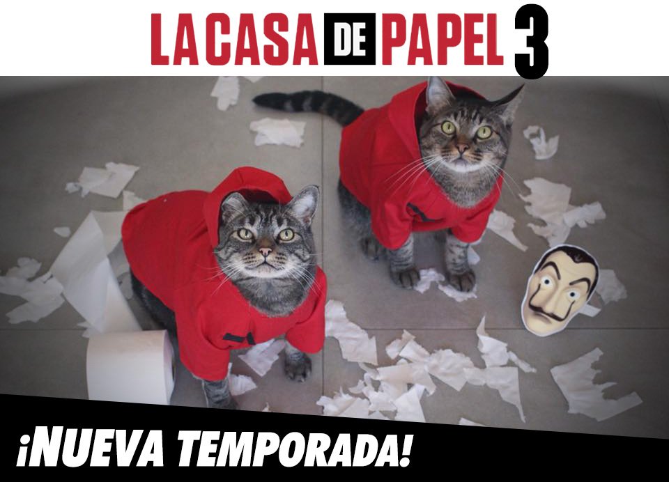 💵A imprimir se ha dicho...💵

¡La nueva temporada de #LaCasaDePapel tiene nuevos protagonistas!

#DiaInternacionalDelGato