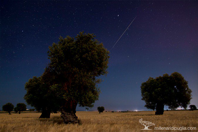 Avete già pensato al desiderio da esprimere? La notte di San Lorenzo si avvicina… non fatevi prendere alla sprovvista! Scoprite le migliori location per poterle ammirare... 🤩😮🌠
#artpugliaconsiglia #stellecadenti
artpuglia.com/blog/beni-cult…