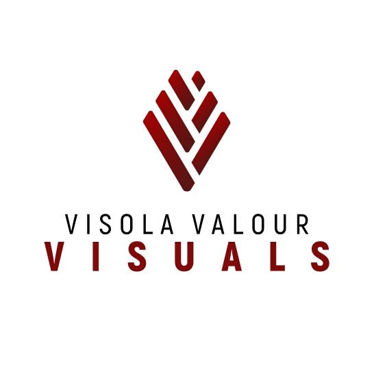 VisValVisuals's tweet image. #NewProfilePic