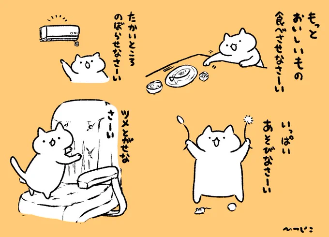 しかるにゃんこ　#世界猫の日 