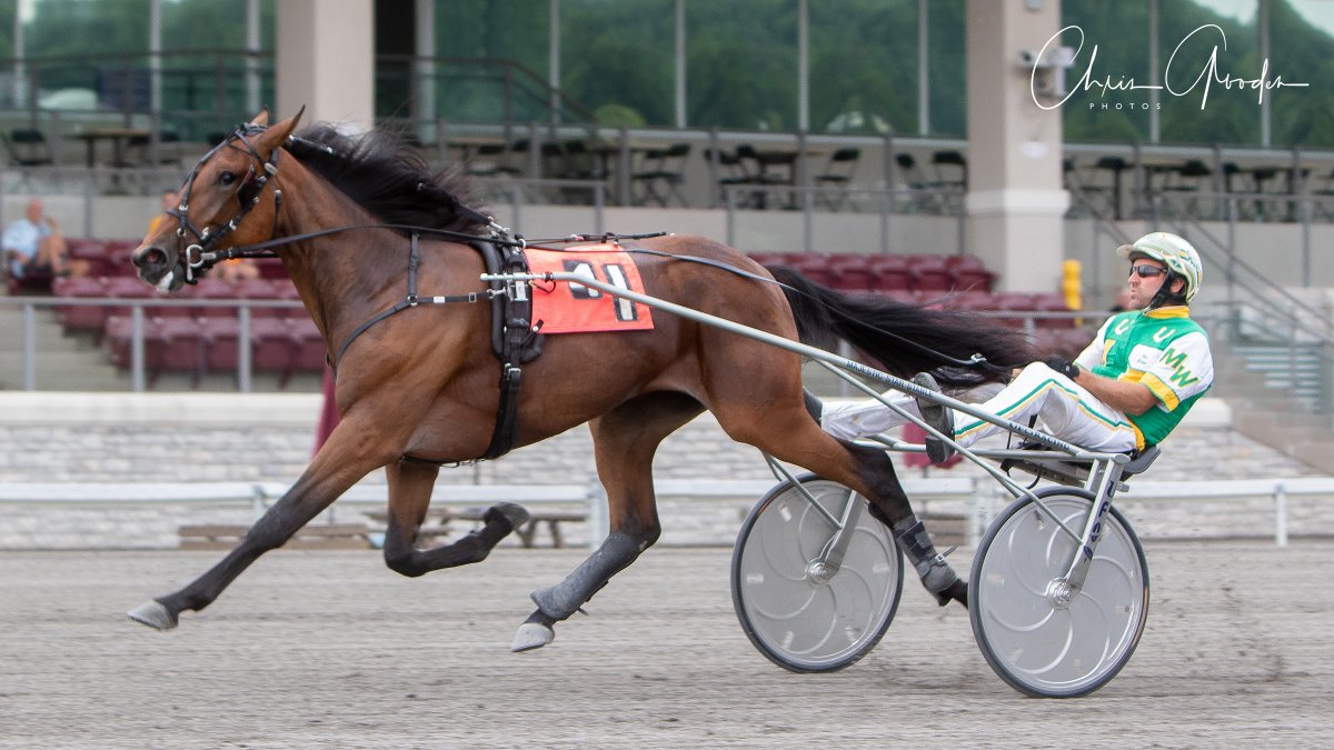 Joe_Zagari's tweet photo. #NomoVolo 🇺🇸 #ExplosiveMatter won $46,159 #PASireStake 2 year old filly trot, 4th division at @MeadowsCasino with @WMikeWilder & #JeffEdwards ⏱️1:58.1 (29.2)
📸@CGoodenPhotos https://t.co/mbeNs1N8fU
