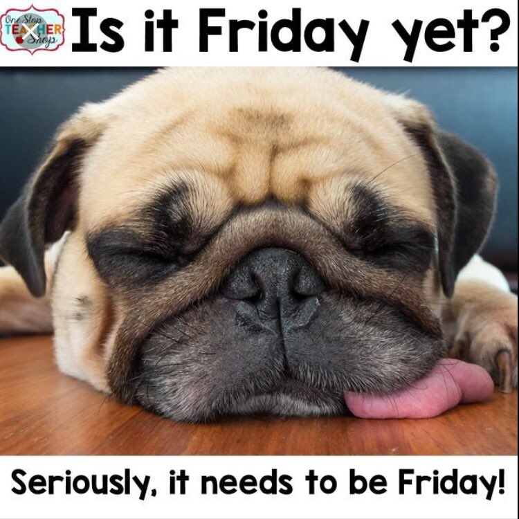 SmartHCS's tweet photo. #funnyWednesday!
#sunnydays!
#cuteness!
#halfwaythere!
#smarthcs! https://t.co/98gc7Mc08v