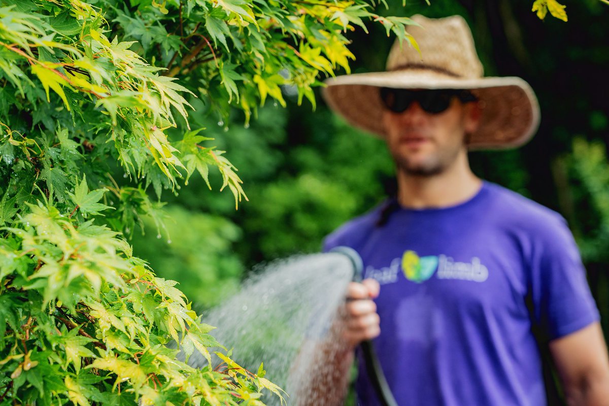Watering seems like a simple task, but it can take years to perfect. Here is what we have learned about HOW to water from our years of experience tipping the watering can. 
buff.ly/2uyog2q