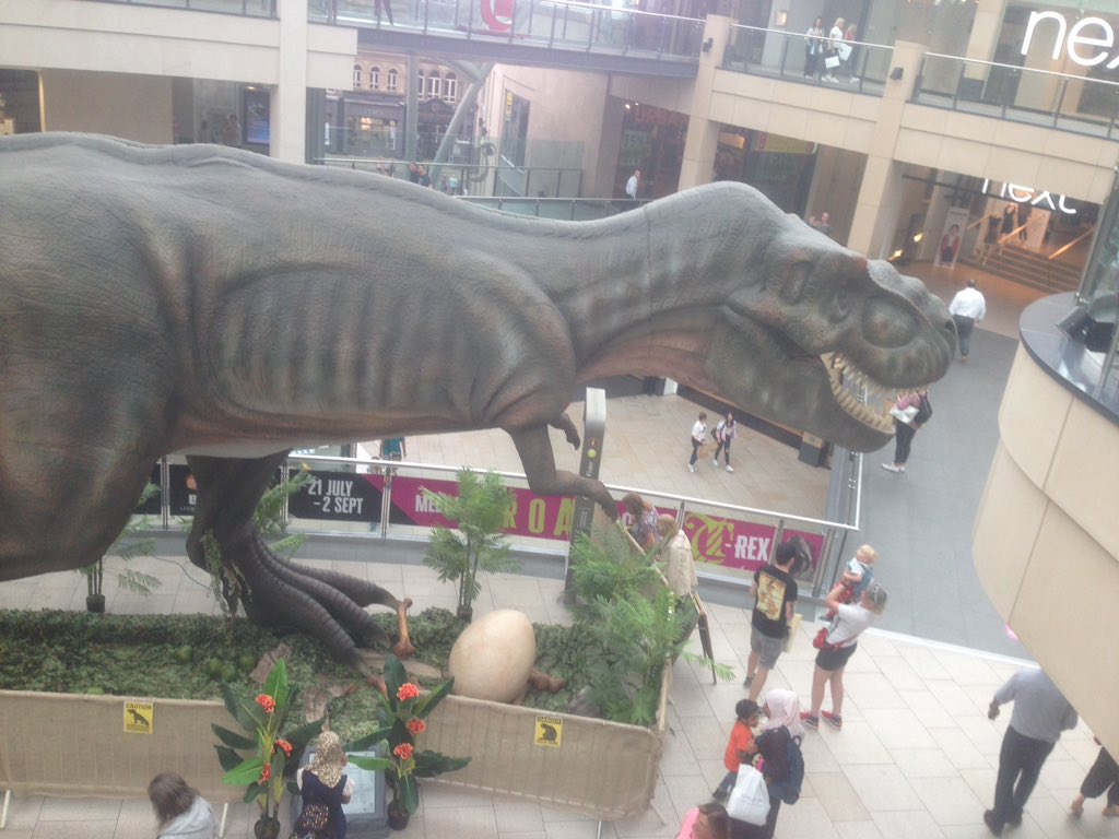 Joannechocolat's tweet image. Big animatronic dinosaur in Leeds shopping mall. Every few minutes, it moves. Crowd of children under its head, waiting for it to roar. Except for one very small boy, waiting expectantly at the tail end. He tells me: "I've been waiting. He's bound to do a poo sometime."