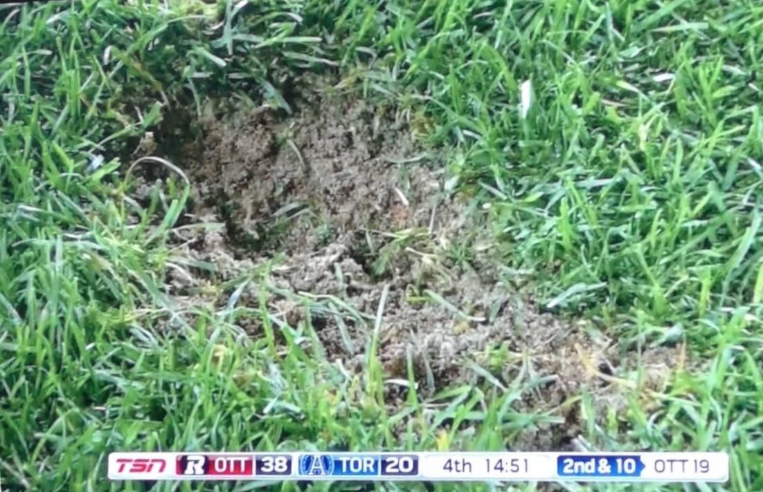 IAm_Wilder32's tweet image. Sorry @torontofc for the big ditch i made out on the field!!!😫🤦🏾‍♂️
#CreatedPlayer #getWILDER