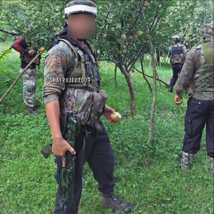 RubabRida_Syed's tweet photo. #HumanRightsViolations by Indian Occupation.
Occupier armed forces can steal any thing from houses&amp; shops in Kashmir.
Thieves &amp; Invaders #IndianArmy stealing apples from #Kashmiris orchards.

#SaveArticle35AForKashmir  #FreeKashmir from Bhooka Nanga Hindustan
#HRC38 https://t.co/9nAdxMxTcd