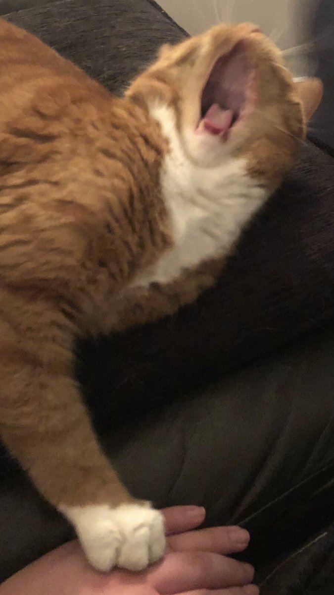 L  O  I  S tweet media