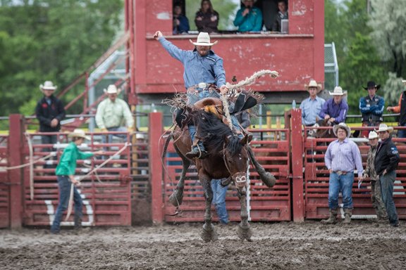 NTFRMagazine's tweet photo. As the summer heats up, so does the rodeo road. Not only is the temperature outside rising but so are the competition levels in the professional rodeo world. Read more "From the Rodeo Road" in the August 2018 NTFR issue.
#NTFR #AUG2018 #RodeoRoad
https://t.co/cycgu2QbDT https://t.co/OKe1CQNzRB