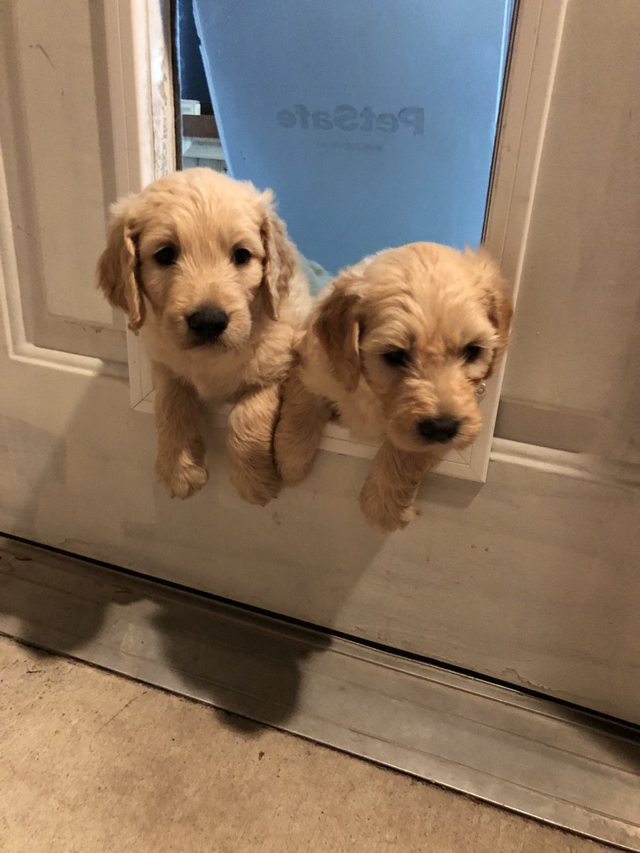 Mike Walker tweet media