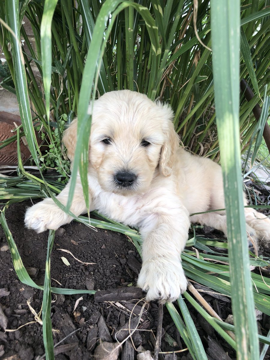 Mike Walker tweet media