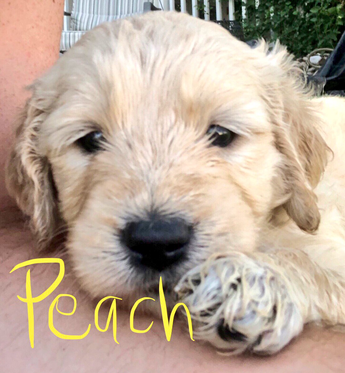 Mike Walker tweet media