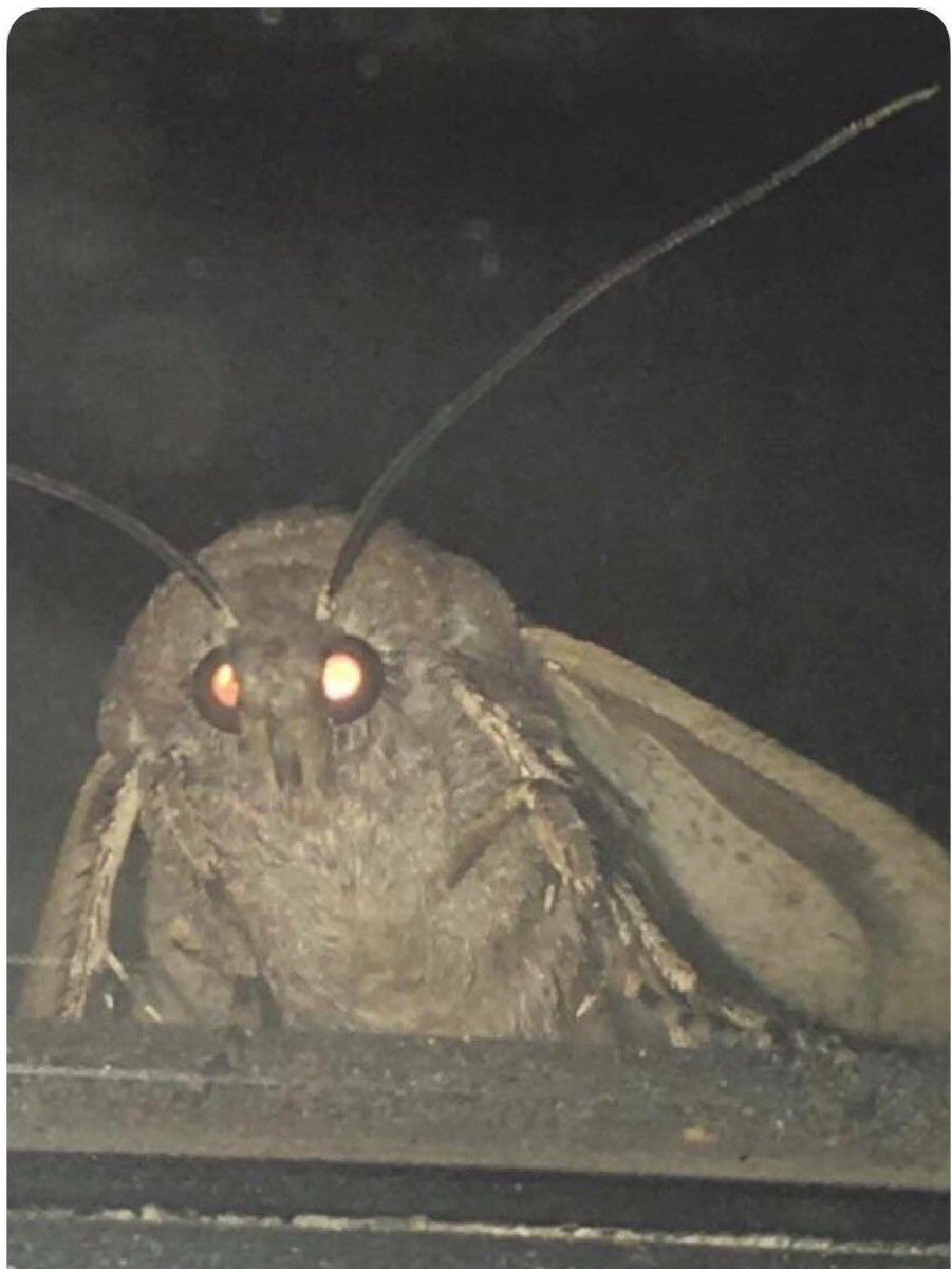 Z_Tiz's tweet photo. Y'all got any fucking lightshows fam? https://t.co/qSCYdnMDTR