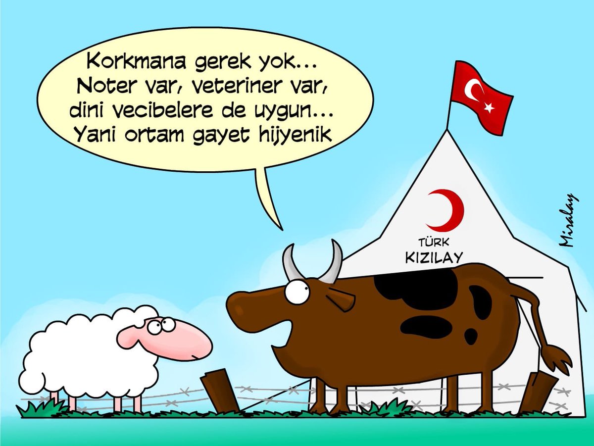 #KurbanımKızılaya Hijyenik ortamda kesim...