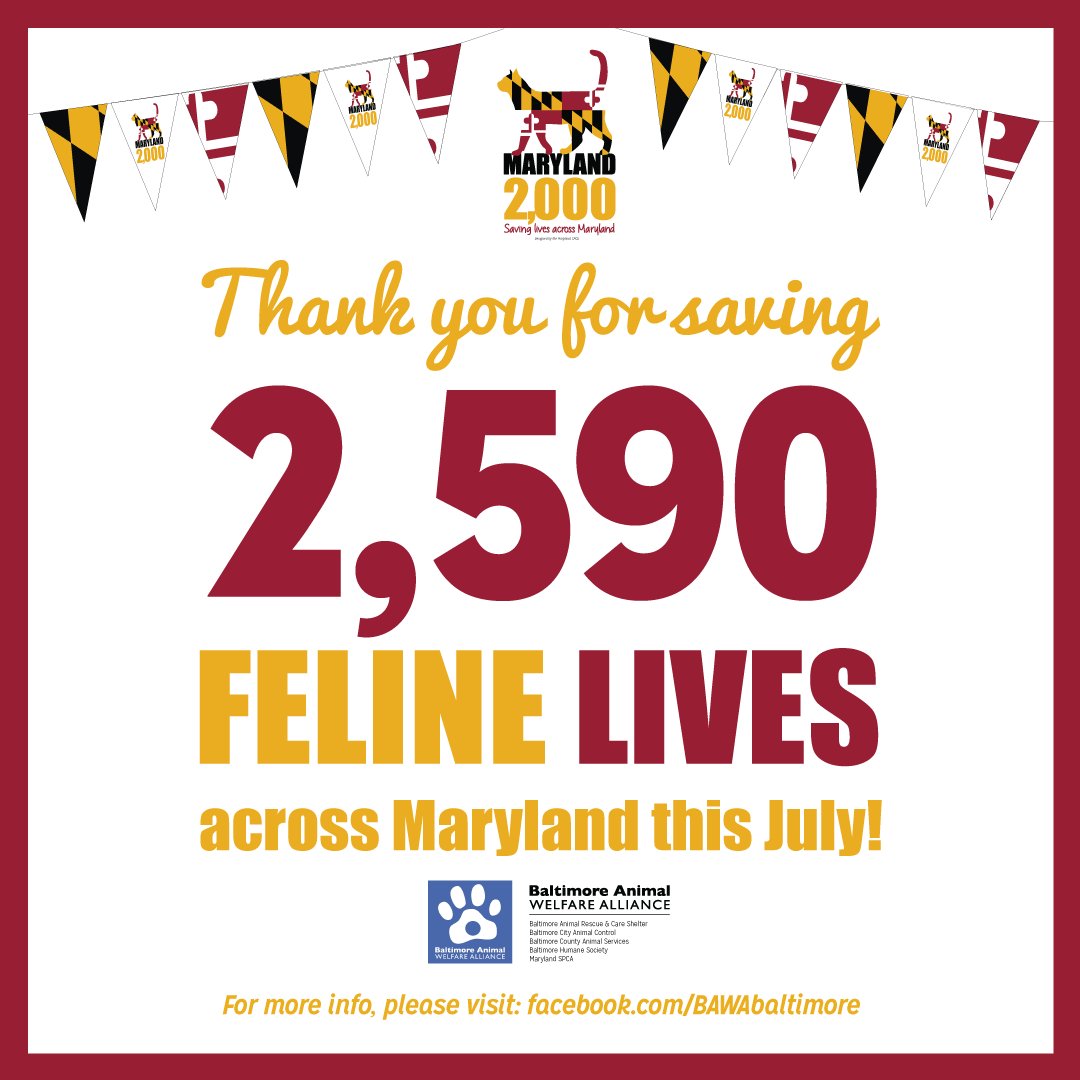 BaltCoGov's tweet photo. We want to give special thanks to the Cat Hospital At Towson for providing adopters from the @MDSPCA, Baltimore County Animal Services, Baltimore Humane Society and BARCS with free feline wellness exams during the #MD2000 event! #BCAS #MDSPCA #Towson --Via https://t.co/384dufeDP4 https://t.co/5CyE9JUGjB
