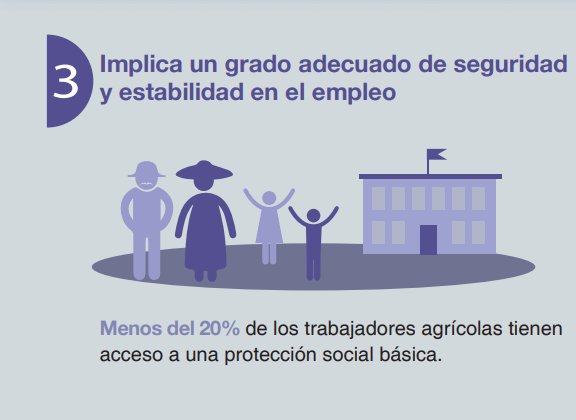 FAOMexico's tweet photo. Menos del 20% de los trabajadores agrícolas tienen acceso a una protección social básica

👩🏾🌾👨🏼🌾🌽🔝
#EmpleoRuralDecente
#PrioridadFAO
https://t.co/EpAd8QRz0p https://t.co/mWYhAZdMKY