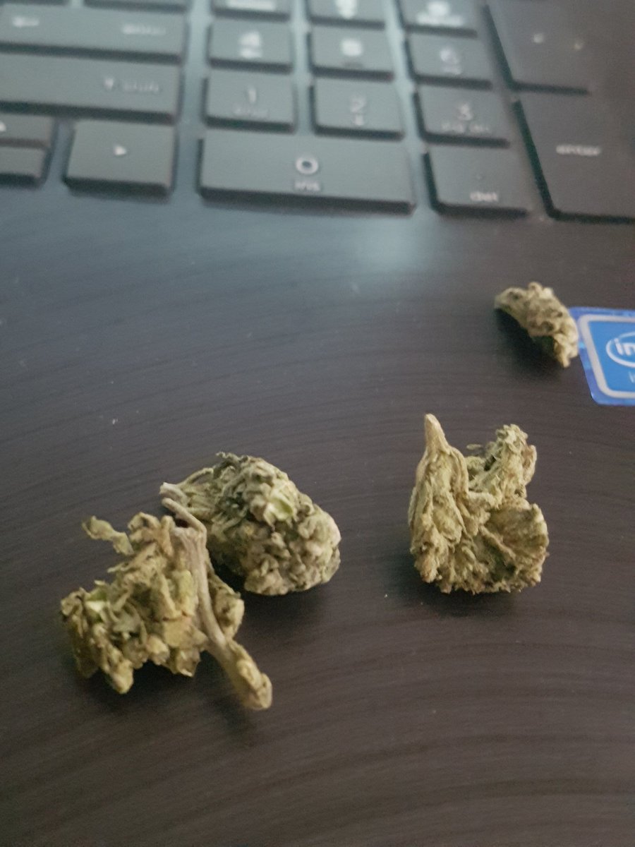 Sway_Swoo's tweet photo. @MoSativa Yuss💚🌿😋 https://t.co/8DA5nL01QH