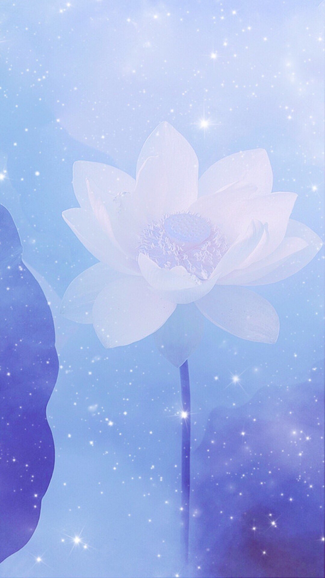 非我非非我on Twitter 手机壁纸 荷花 Lotus T Co Do4dsmfdoe Twitter
