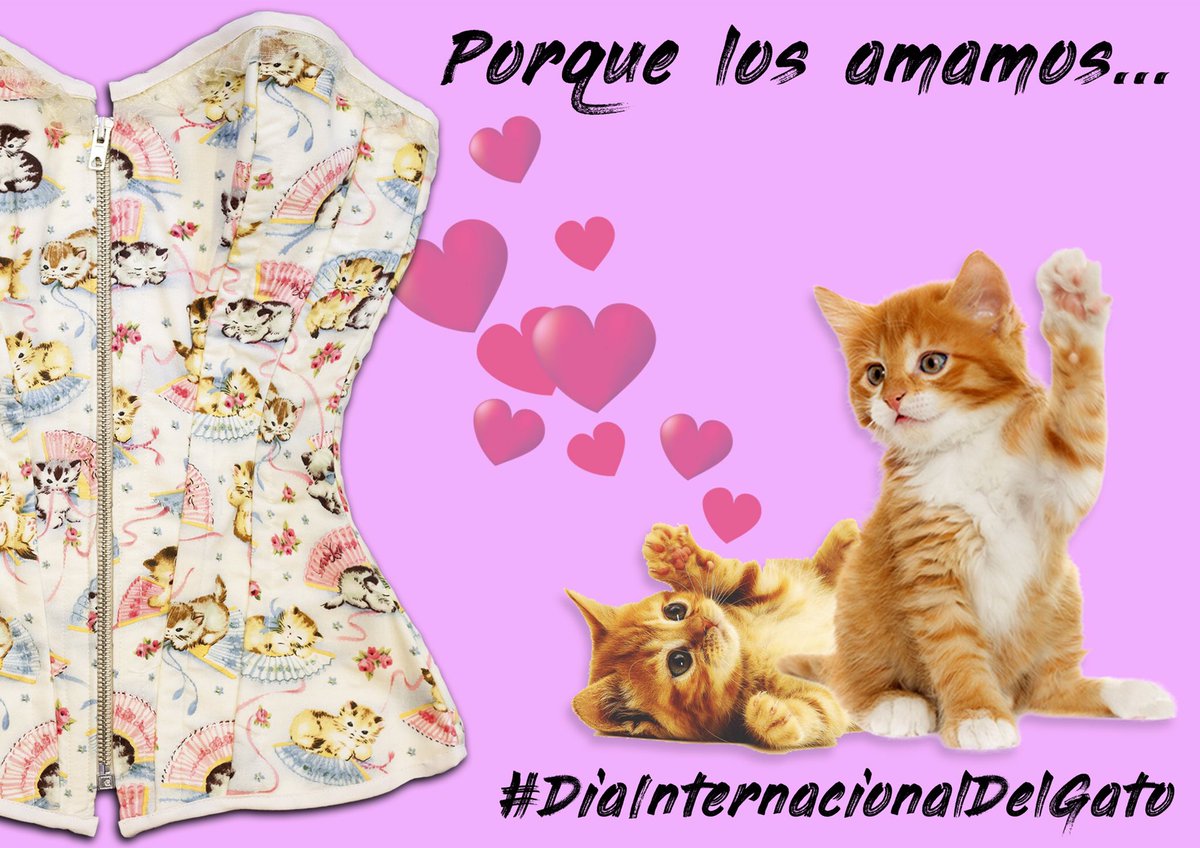 PCorset's tweet photo. Porque los amamos.  #adoptaungatete #amorfelino #gatubelo #gatubela #DiaInternacionalDelGato https://t.co/xD5lvH5pRe